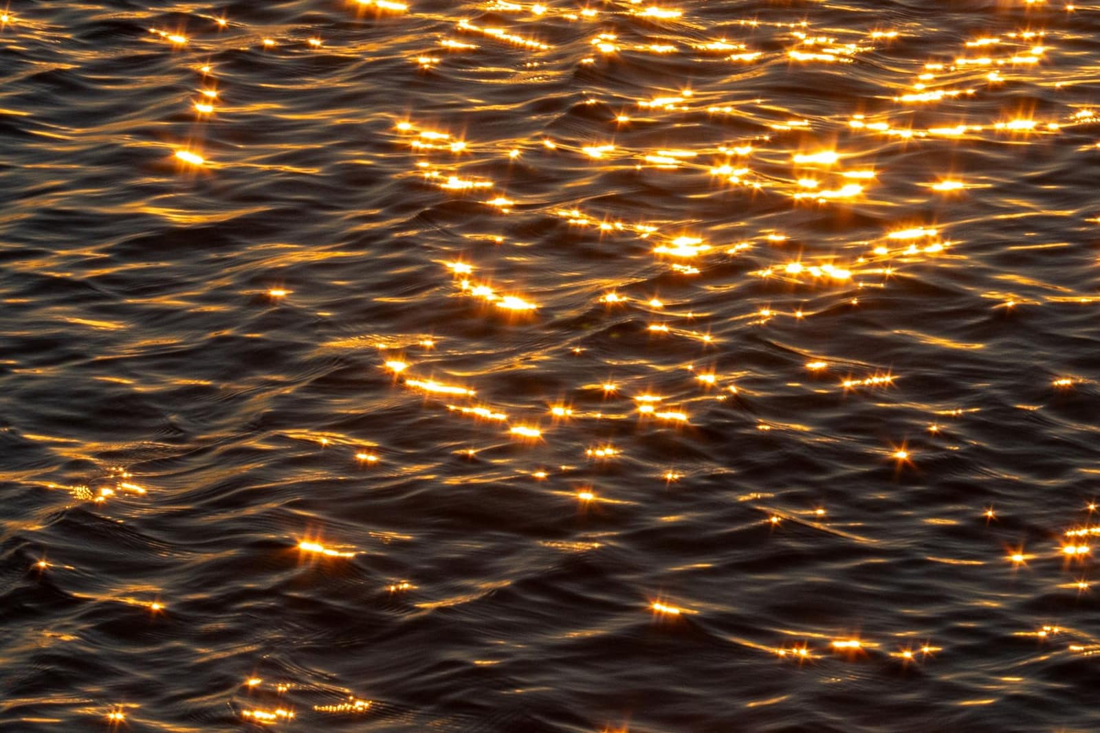 Golden sunlight sparkling on water